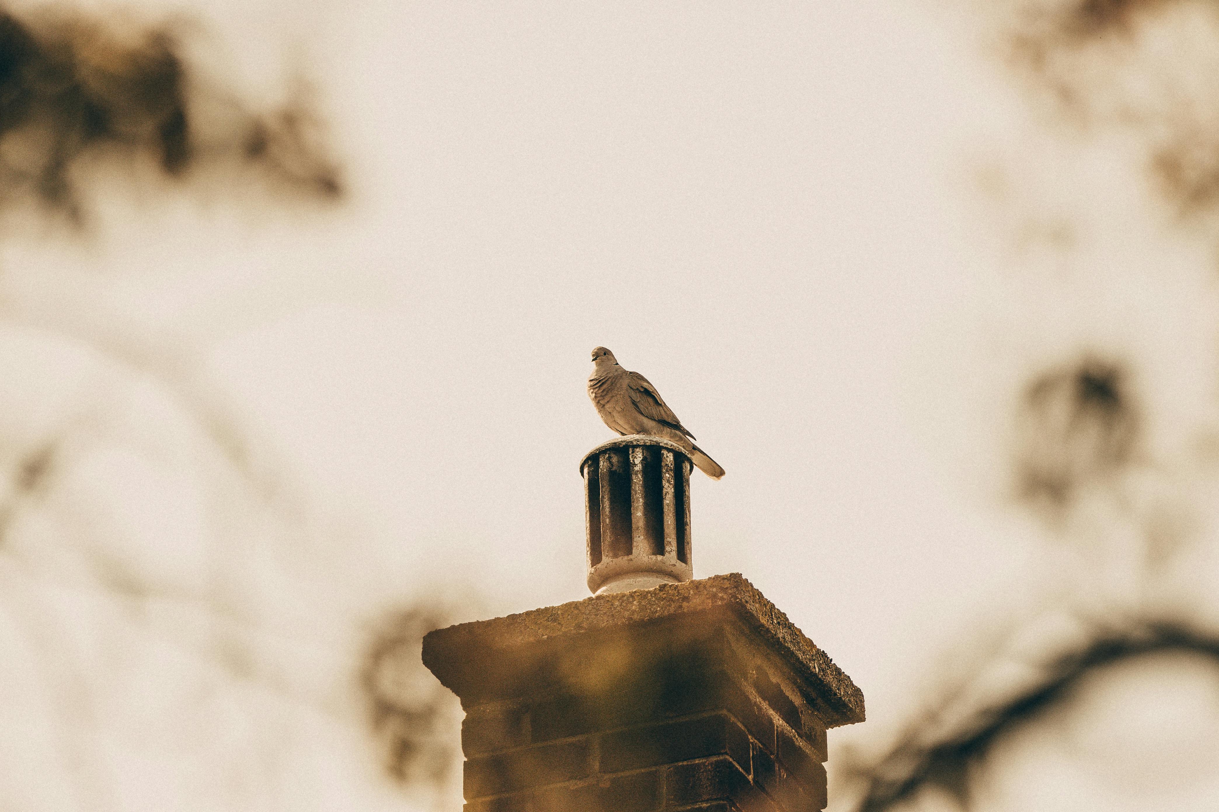 Professional Chimney Cap Installation Services in Hometown, IL Expert Chimney Cap Installation in Hometown, Illinois